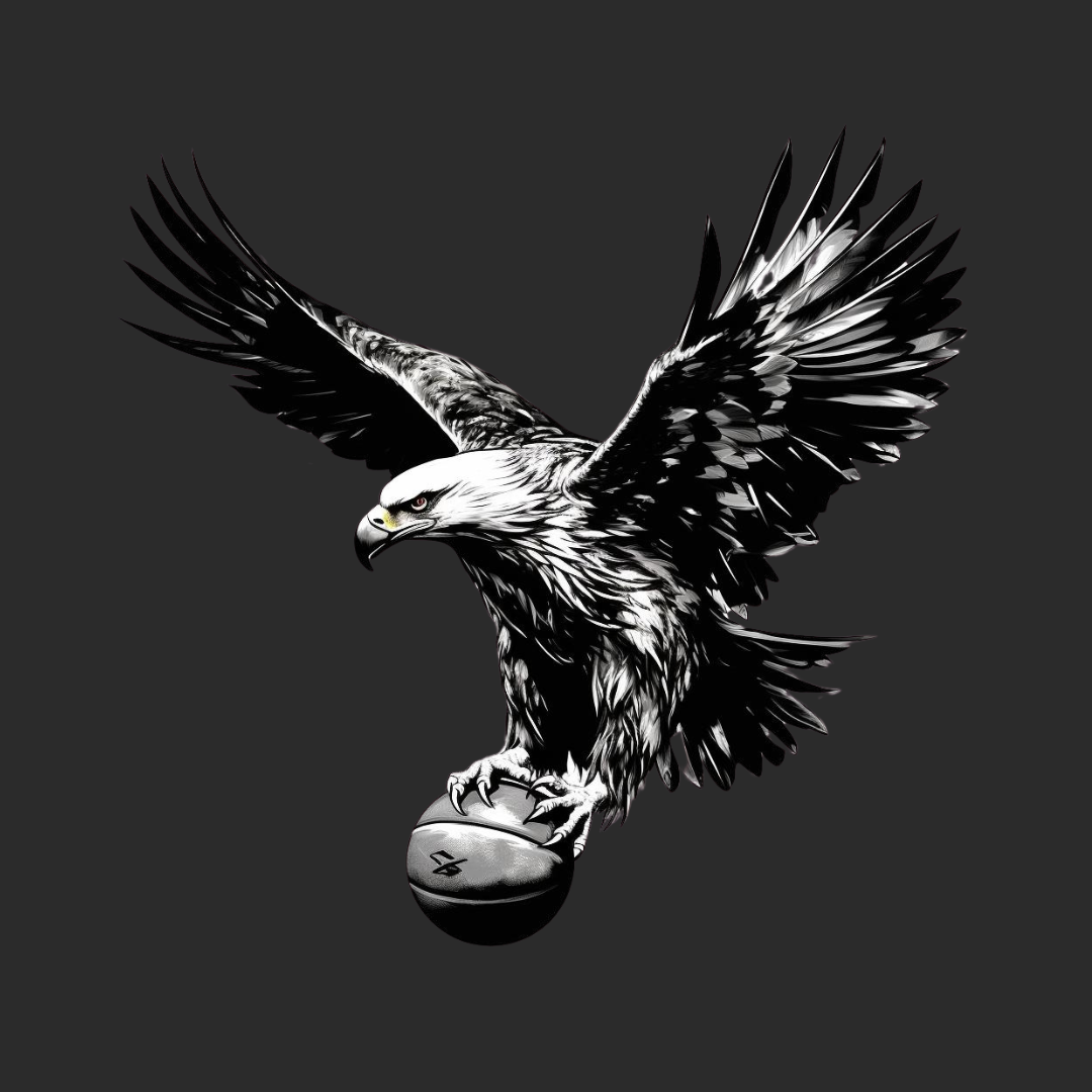 Eagle Catching Basketball Hoodie